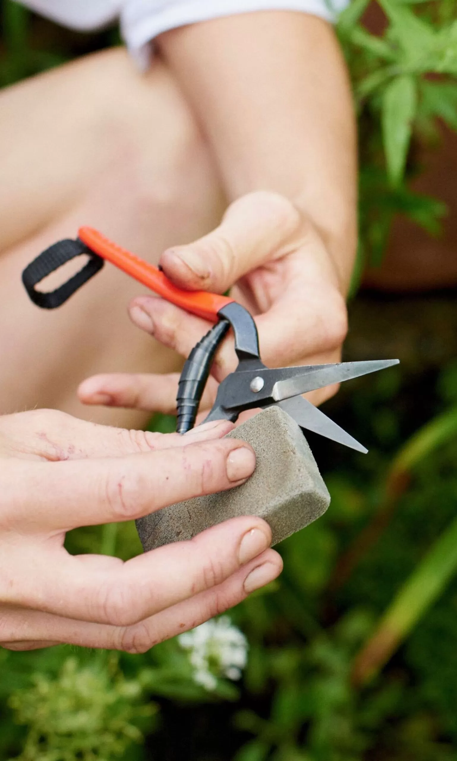 Plümo Crean Rust Mate^Women Gardening