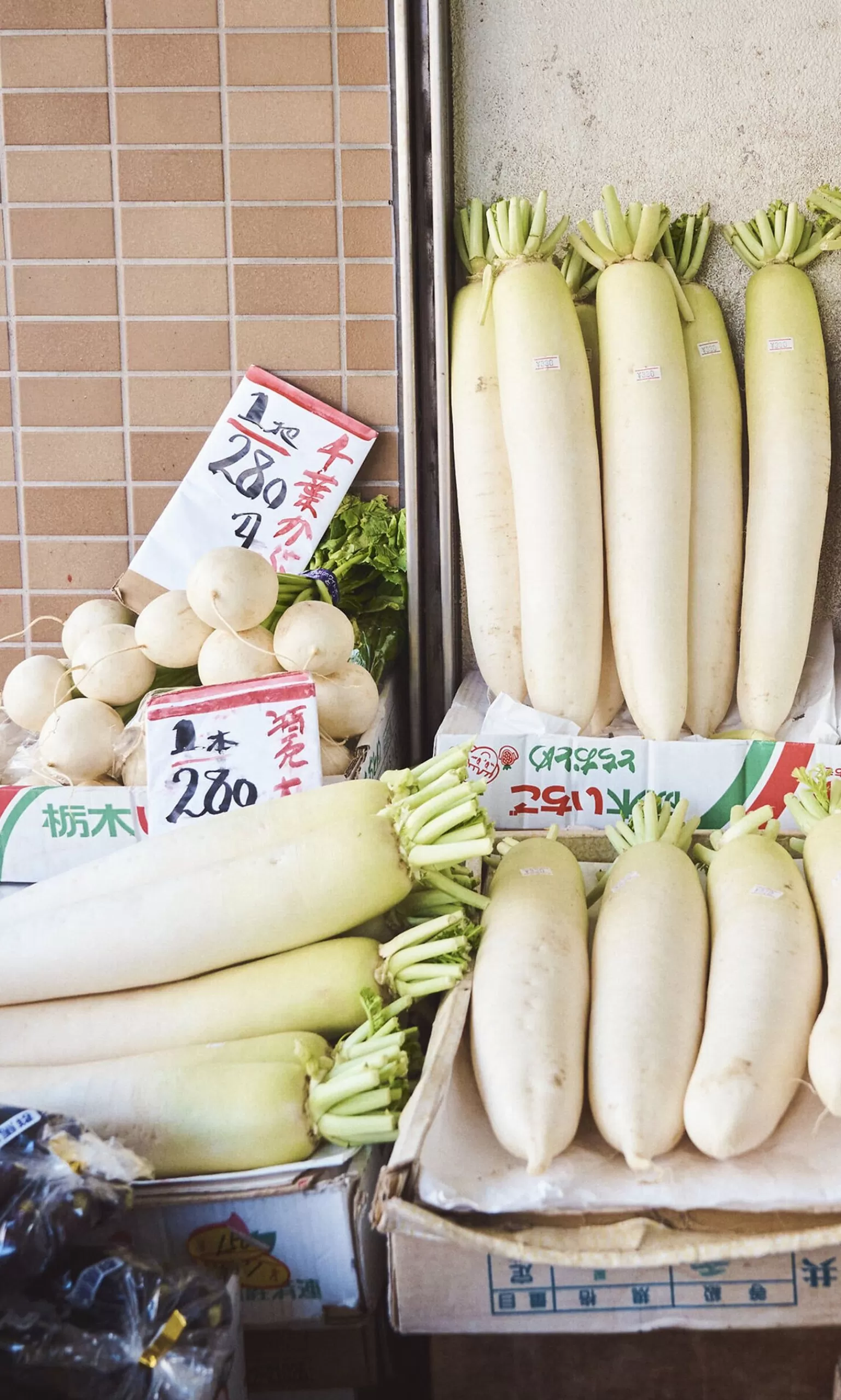 Niwaki Moni Radish Seeds^Women Gardening