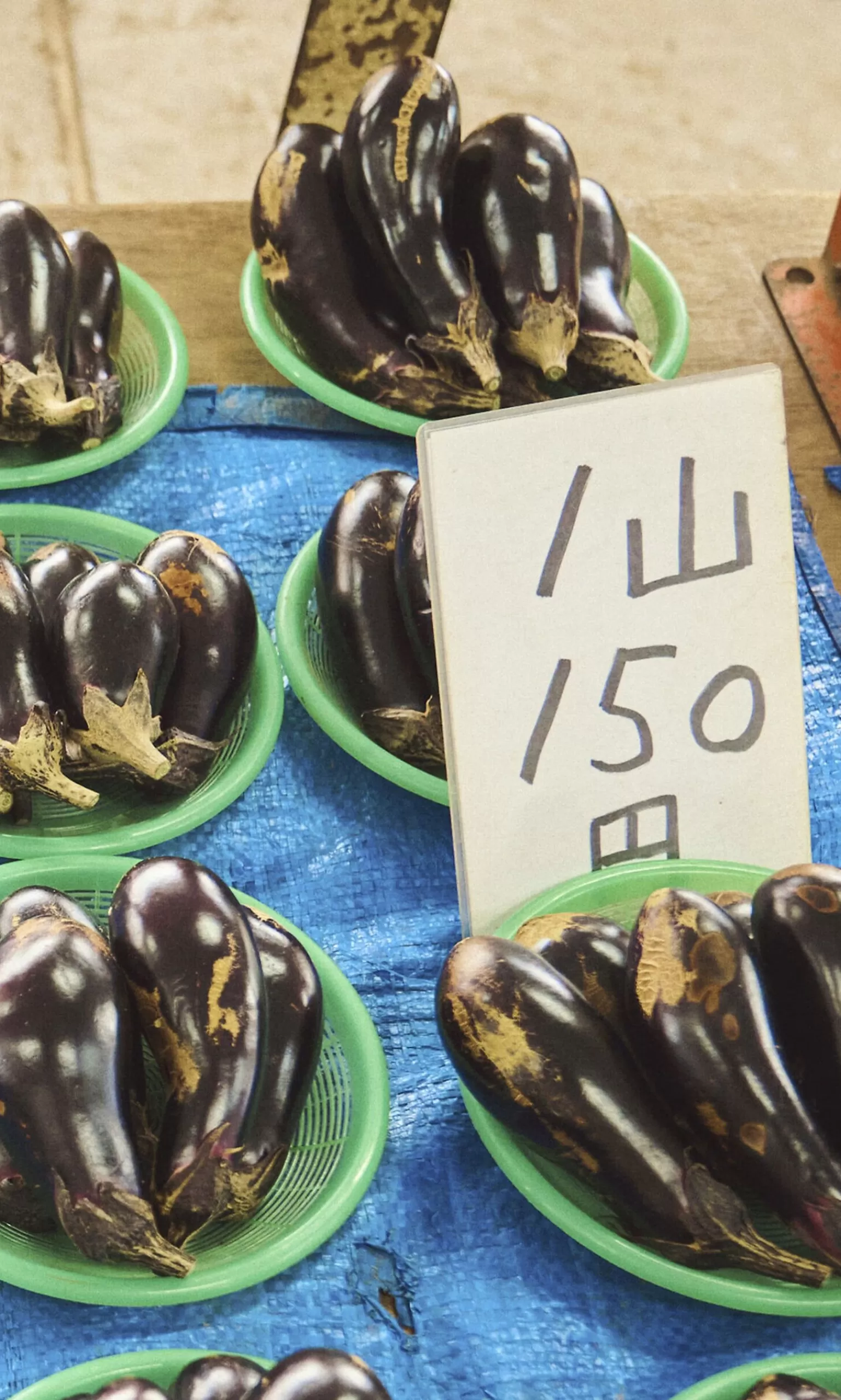 Niwaki Nasu Aubergine Seeds^Women Gardening