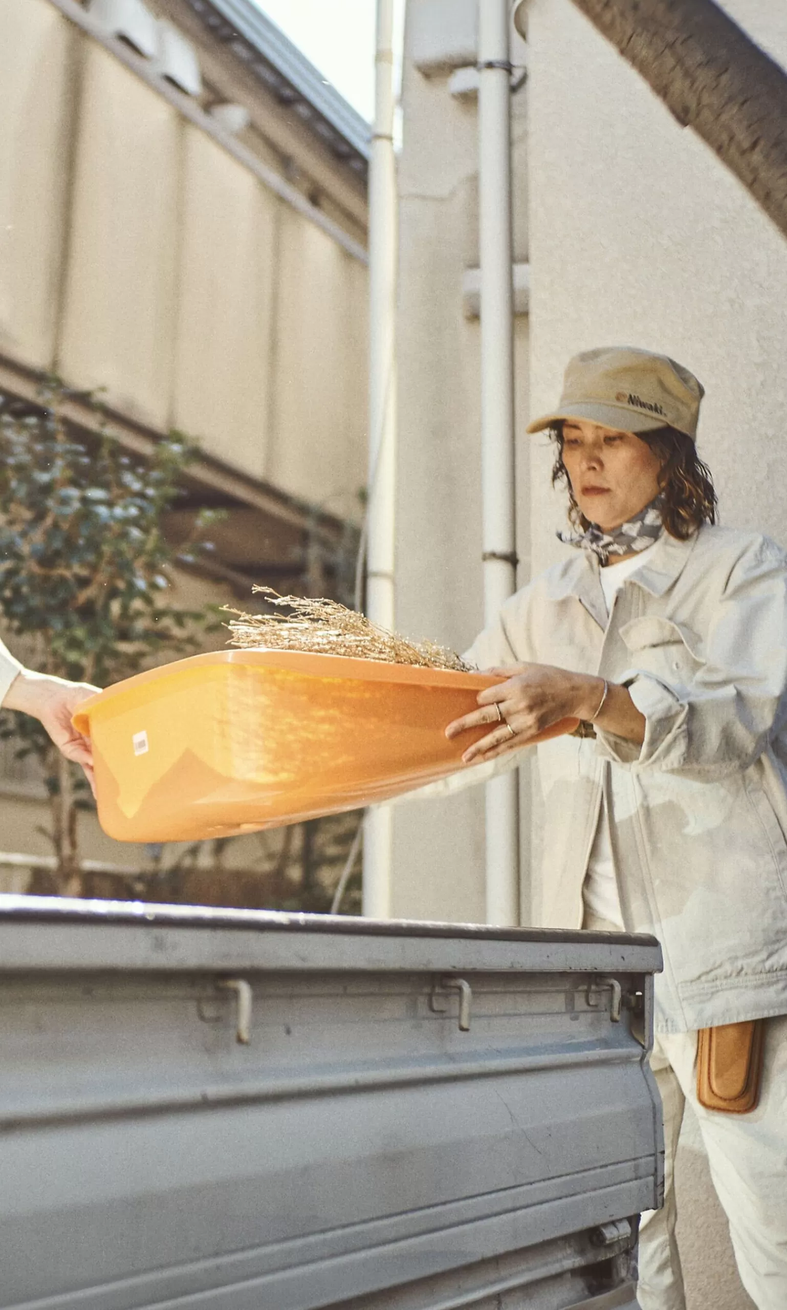 Niwaki Orange Enormous Leaf Pan^Women Gardening